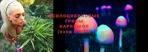 МДПВ Медногорск