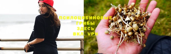 МДПВ Медногорск